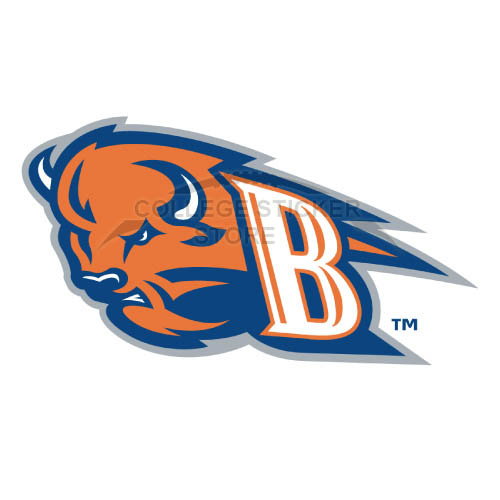 Customs Bucknell Bison Iron-on Transfers (Wall Stickers)NO.4035